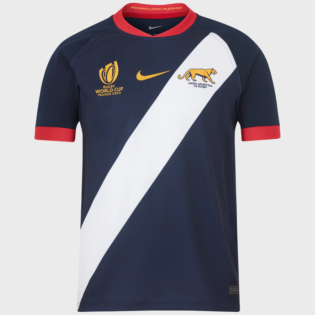 Argentina rugby away jersey WC 2023