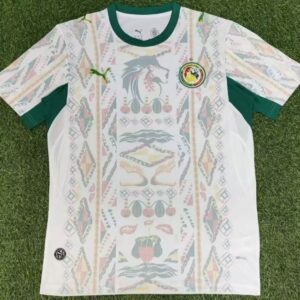 Senegal world cup 2026 jersey