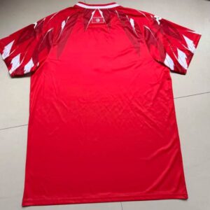Tunisia World Cup 2026 Jersey - Image 5