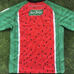 Club Deportivo Palestino superb soccer jersey 2025 - Image 9