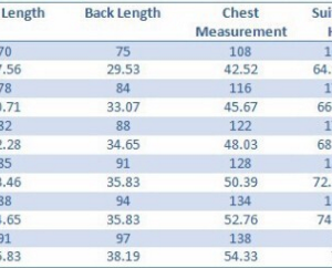 Kobe Bryant 2003 NBA all-star game jersey - Image 5
