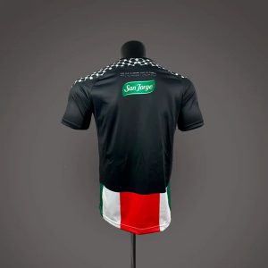 Club Deportivo Palestino 2026 Home & Away Soccer Jersey – Chile - Image 3