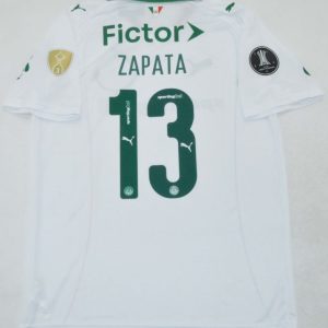 Palmeiras Away 2026 jersey