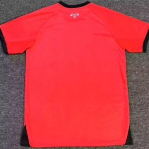 Jordan 2025 National Team Jersey - Image 5