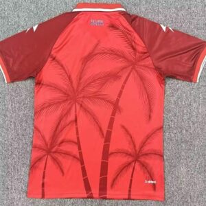 Haiti National Team 2026 Jersey - Image 8