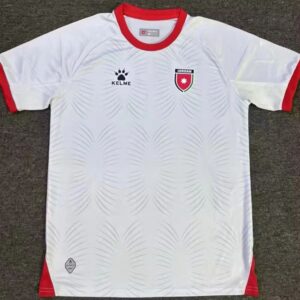 Jordan 2025 National Team Jersey