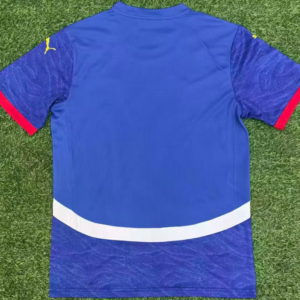 Malaysia National Team Jersey 2025 | Home, Away & 3rd Kits - Image 6