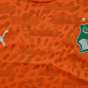 Ivory Coast 2026 World Cup Jersey - Image 5