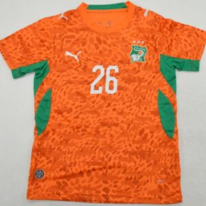 Ivory Coast 2026 World Cup Jersey - Image 7